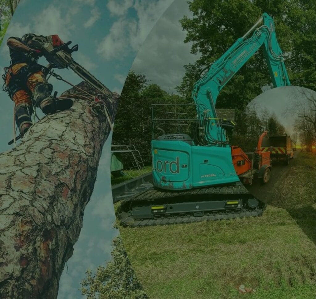 arblease business automation featured image